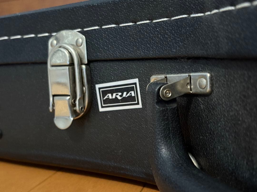 エレキギター レスポール ハードケース付き