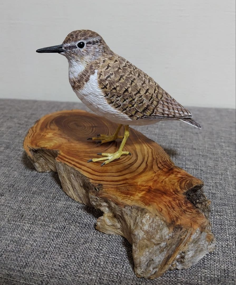 ミニバードカービング　\"イソシギ“