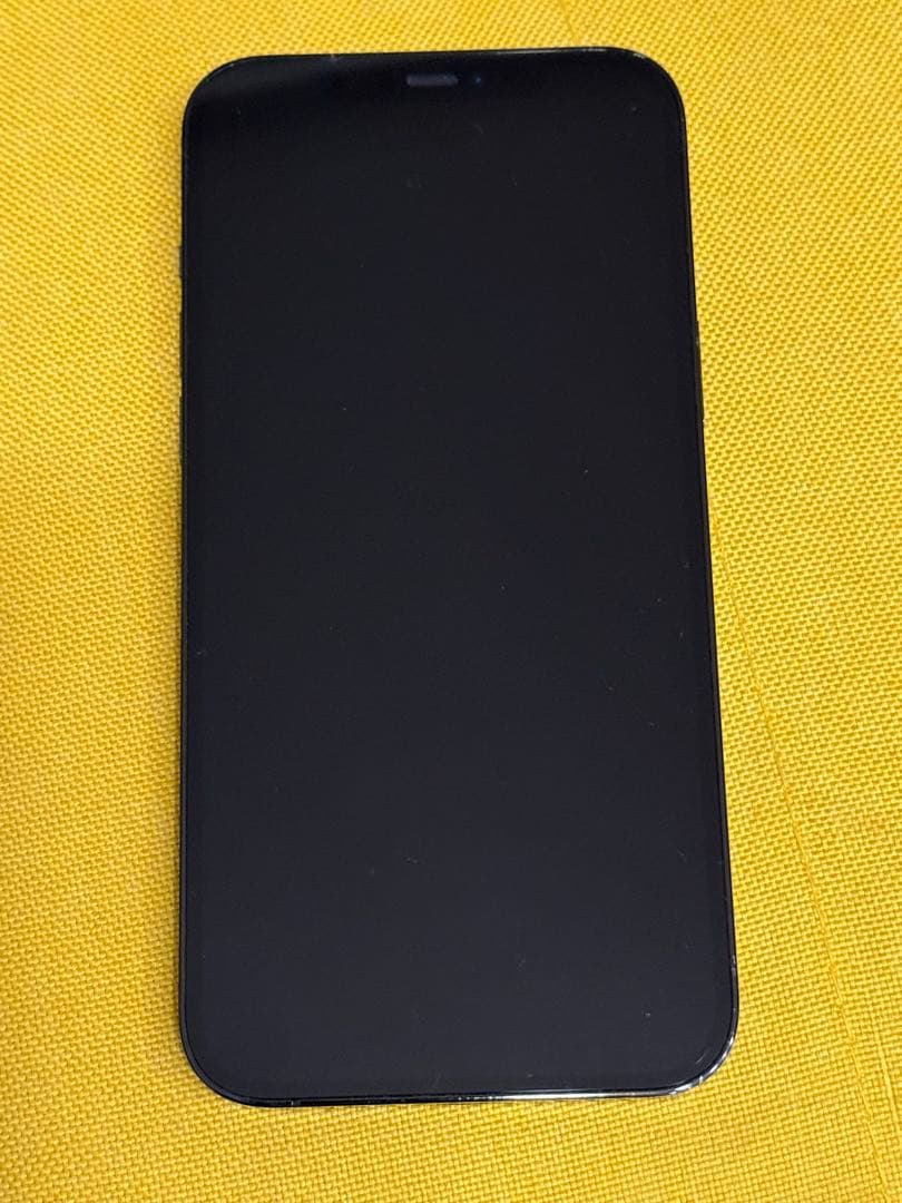 Apple iPhone 12 Pro Max本体