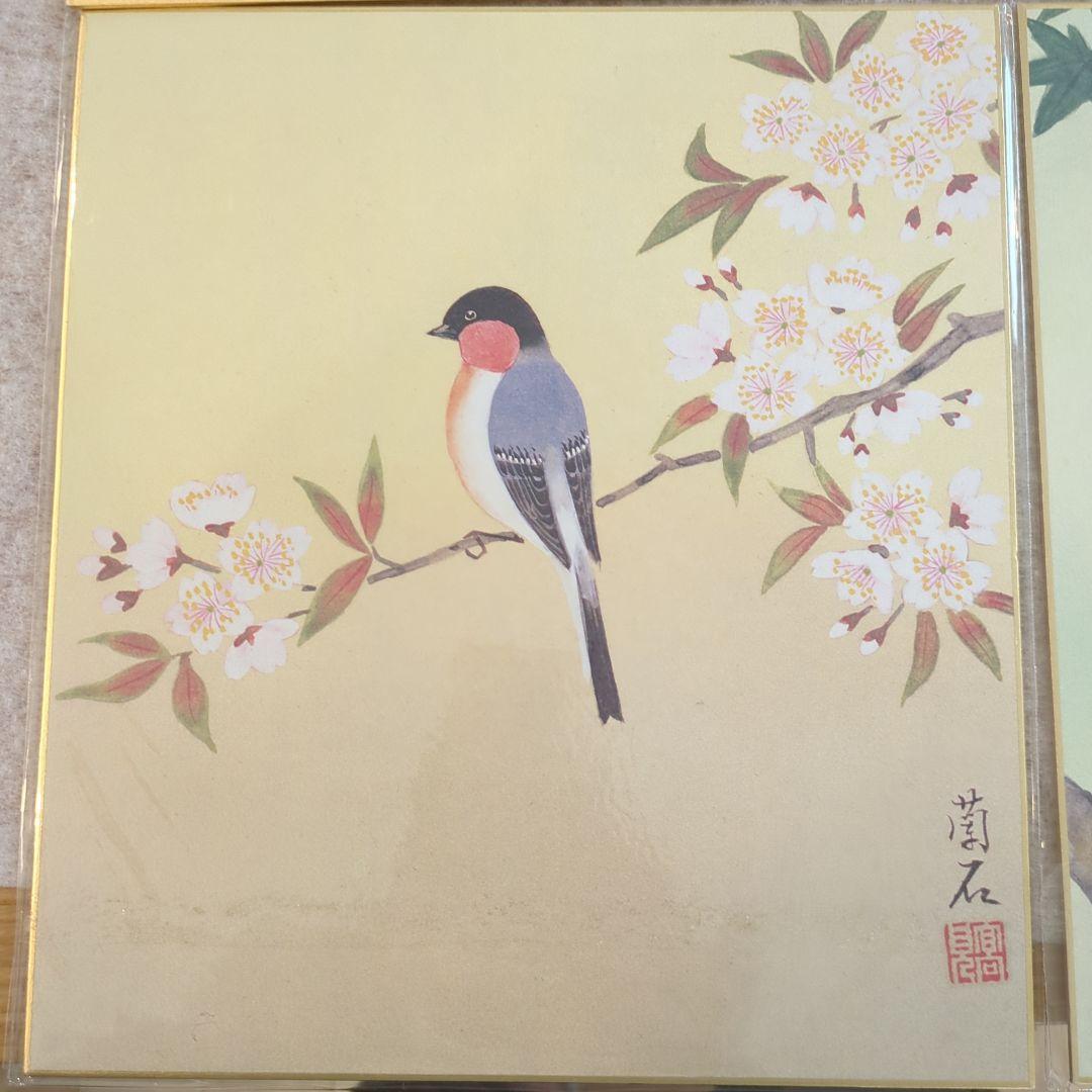 鳥と葉の水彩画 掛軸