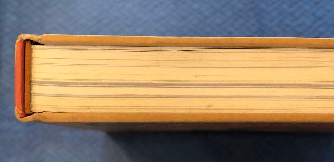 my freedamn! 4 マイフリーダム RIN TANAKA 古着 写真集