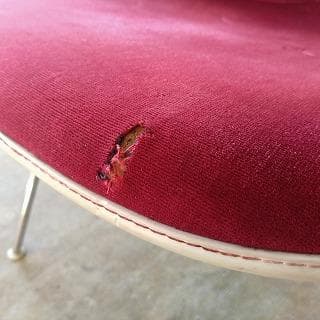 Herman miller　シェルチェア　B