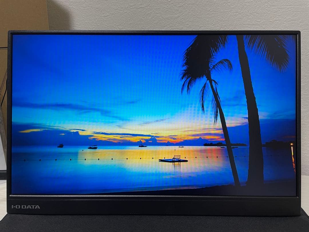 I・Oデータ　15.6型モバイルディスプレイ EX-LDC161DBM