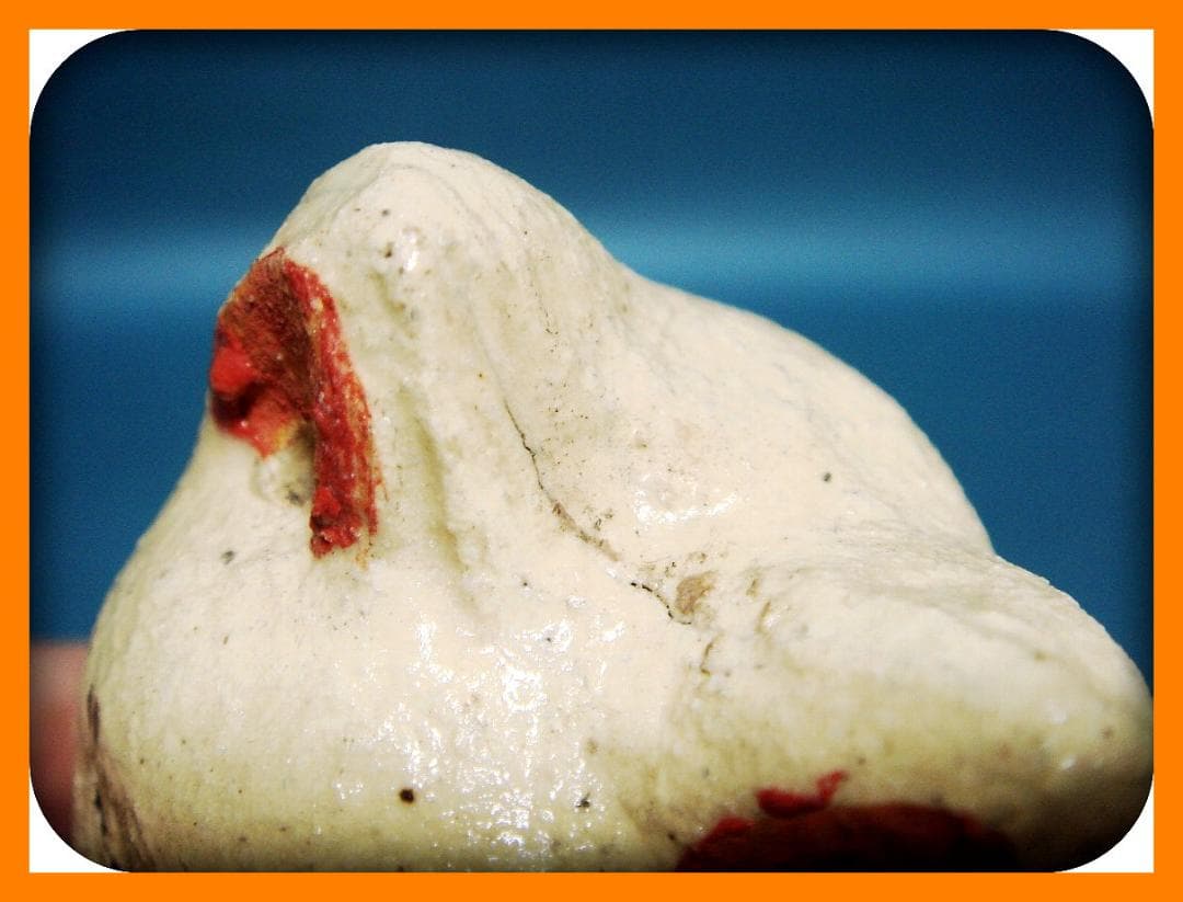 809『魔除けの文様 招き猫』陶器　/骨董品 古美術 アンティーク 古玩