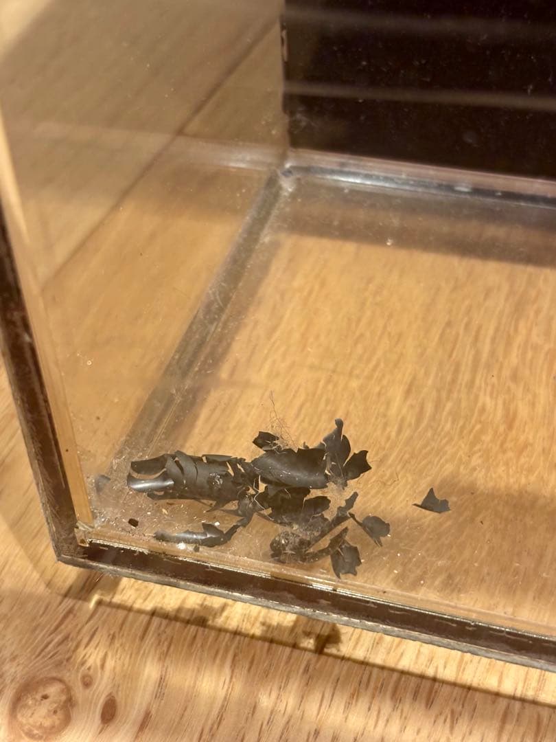 Levi’s リーバイス　ネオンサイン　ストアディスプレイ　ビンテージ