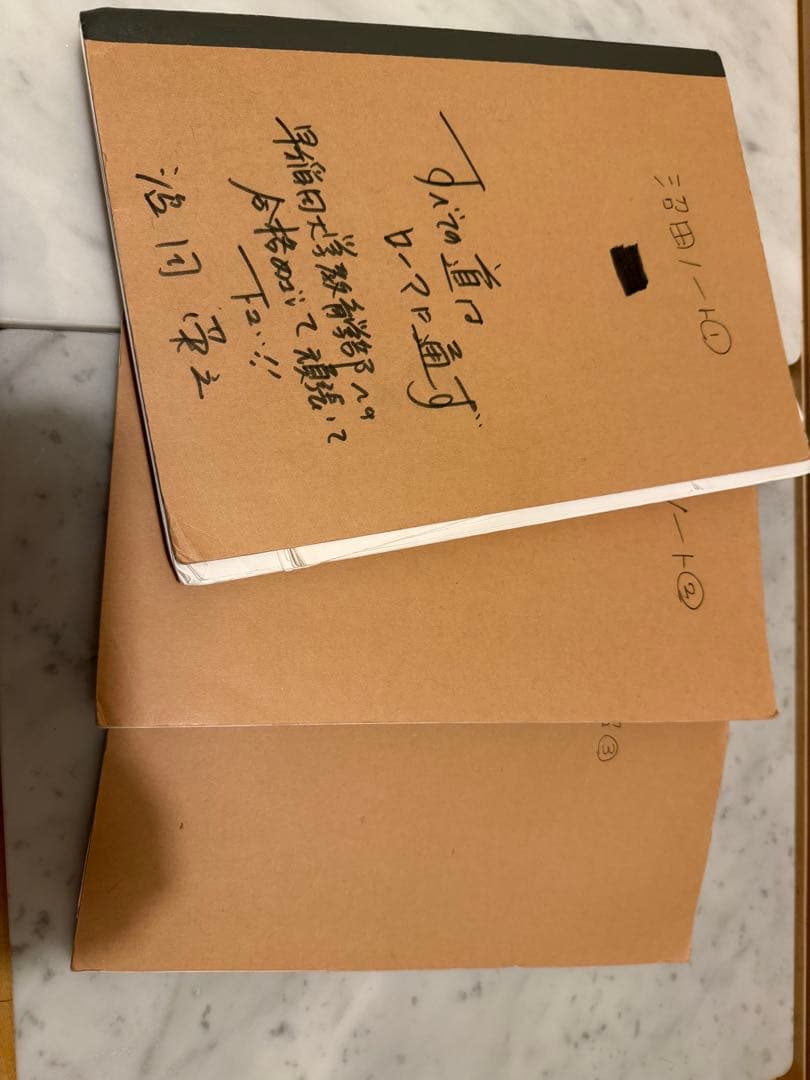 河合塾世界史科　沼田ノート