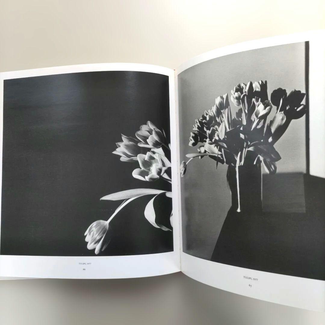 Mapplethorpe:ALTARS/ロバート・メイプルソープ 写真集 洋書