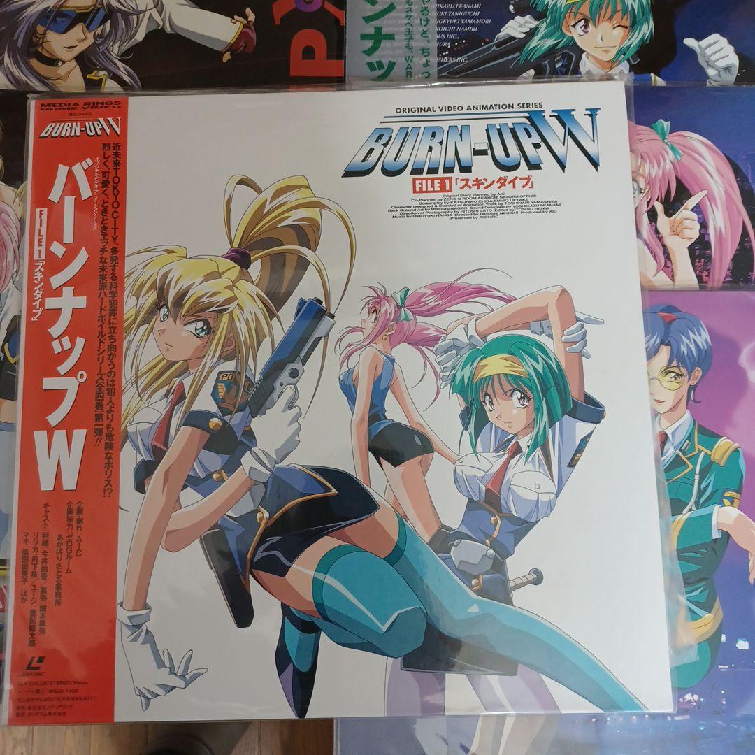 バーンナップエクセスレーザーディスク8枚