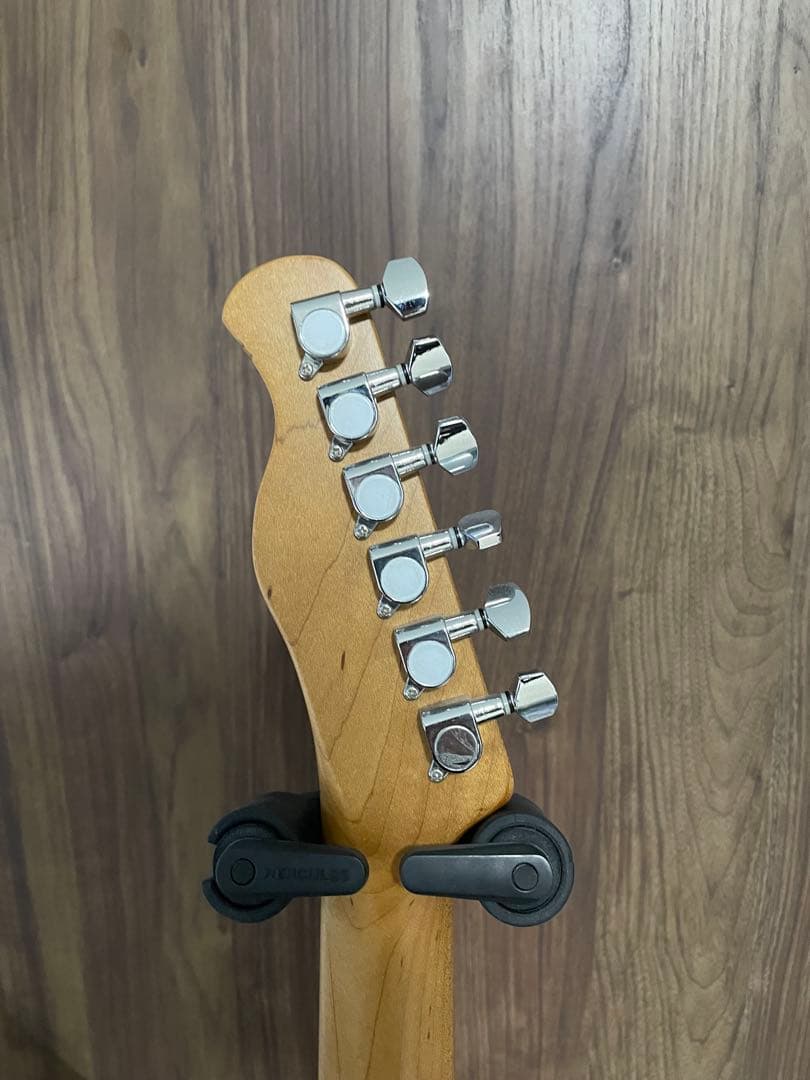 Bacchus Telecaster バッカス テレキャスター