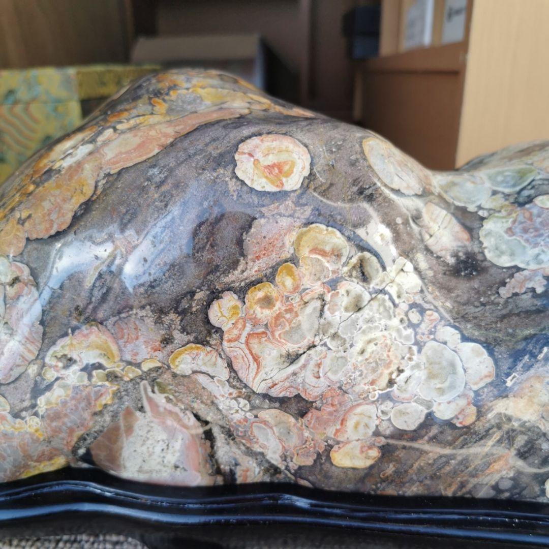 牡丹石　22.5キロ　鑑賞石　石　置物　オブジェ　インテリア