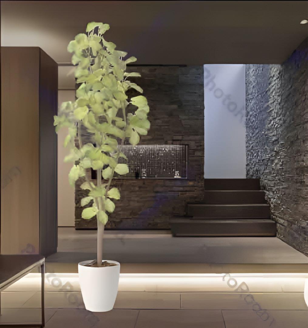 光触媒　人工観葉植物　ウォールグリーン　フェイクグリーン　スリムバウヒニア1.5