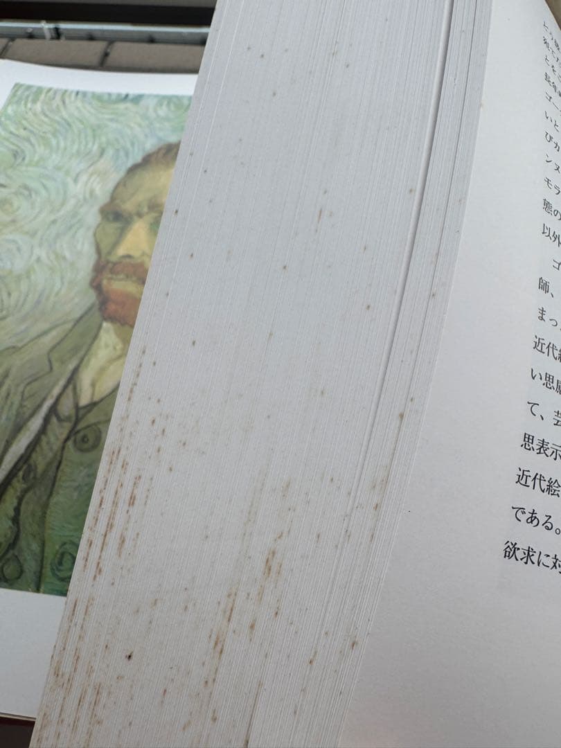 ヴァン・ゴッホ全油彩画集＆展覧会図録 2冊