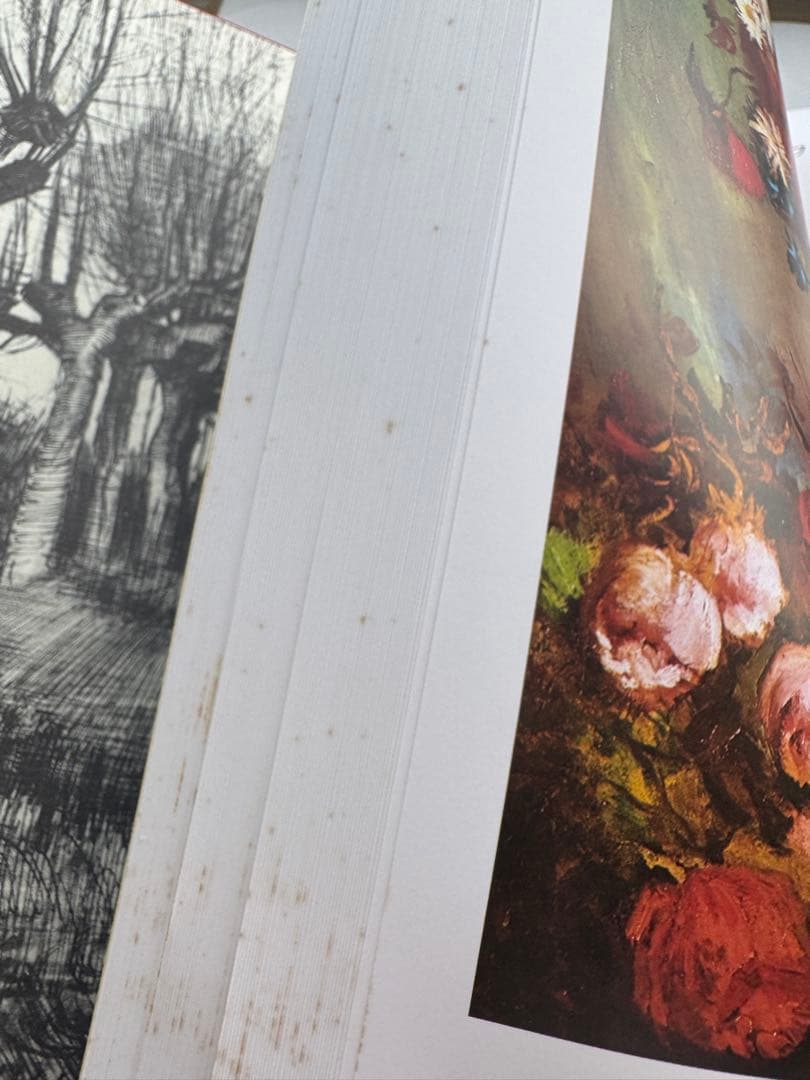 ヴァン・ゴッホ全油彩画集＆展覧会図録 2冊