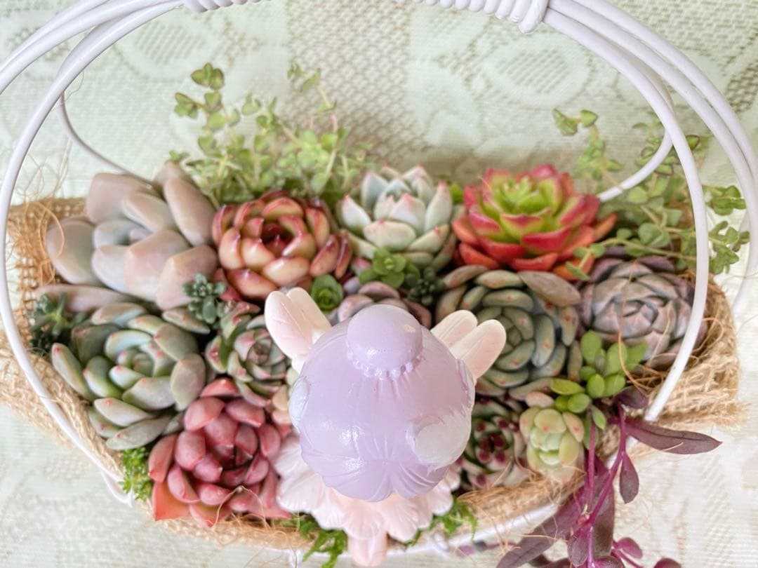 ワイヤーハンギング✿多肉寄せ植え