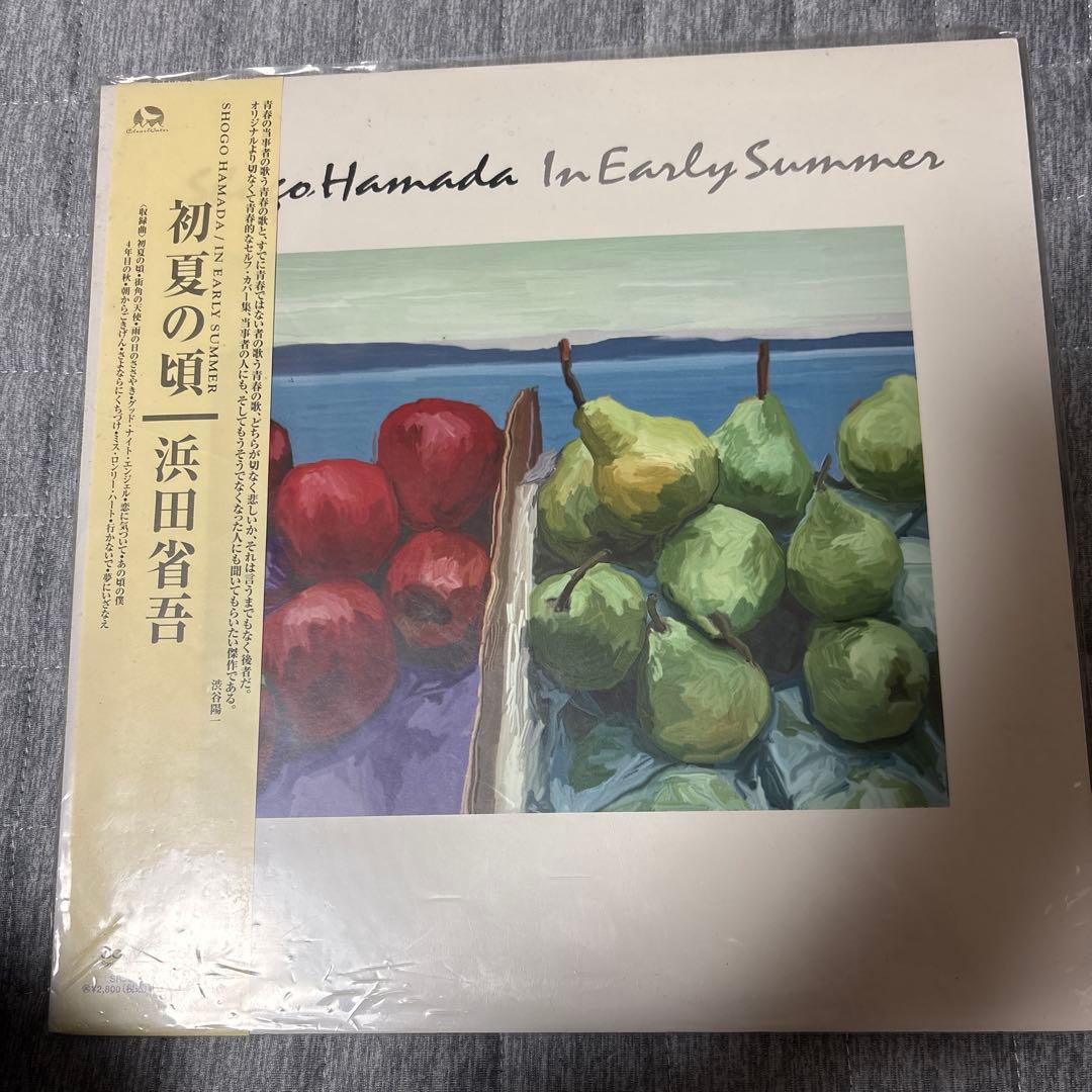 浜田省吾　レコード、CD