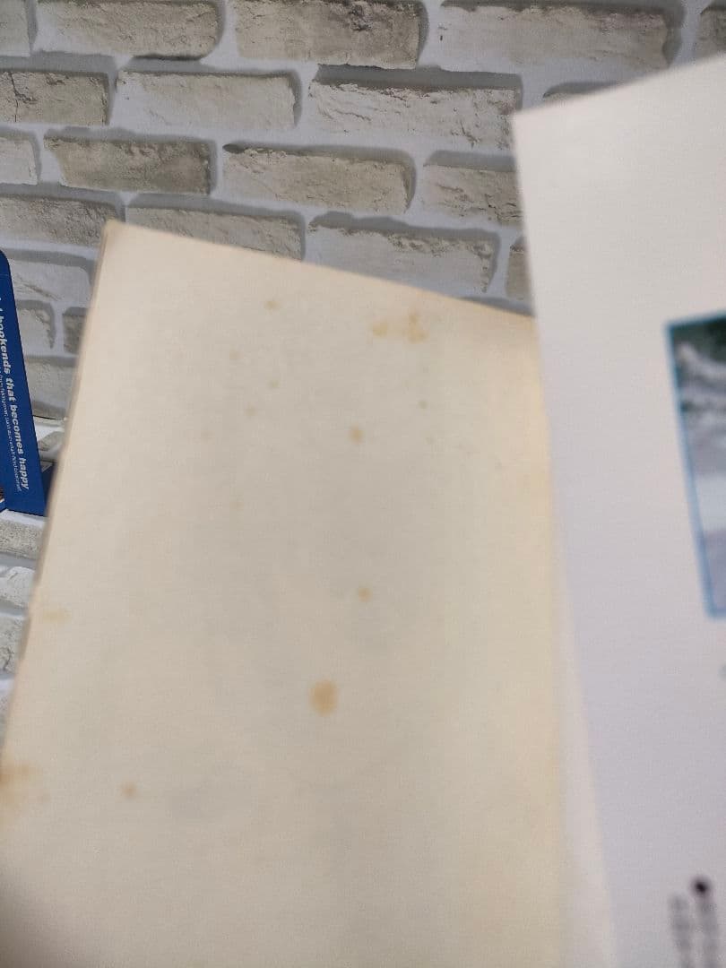 【0巻/ガイド付き】ハンターハンター　既刊全巻セット