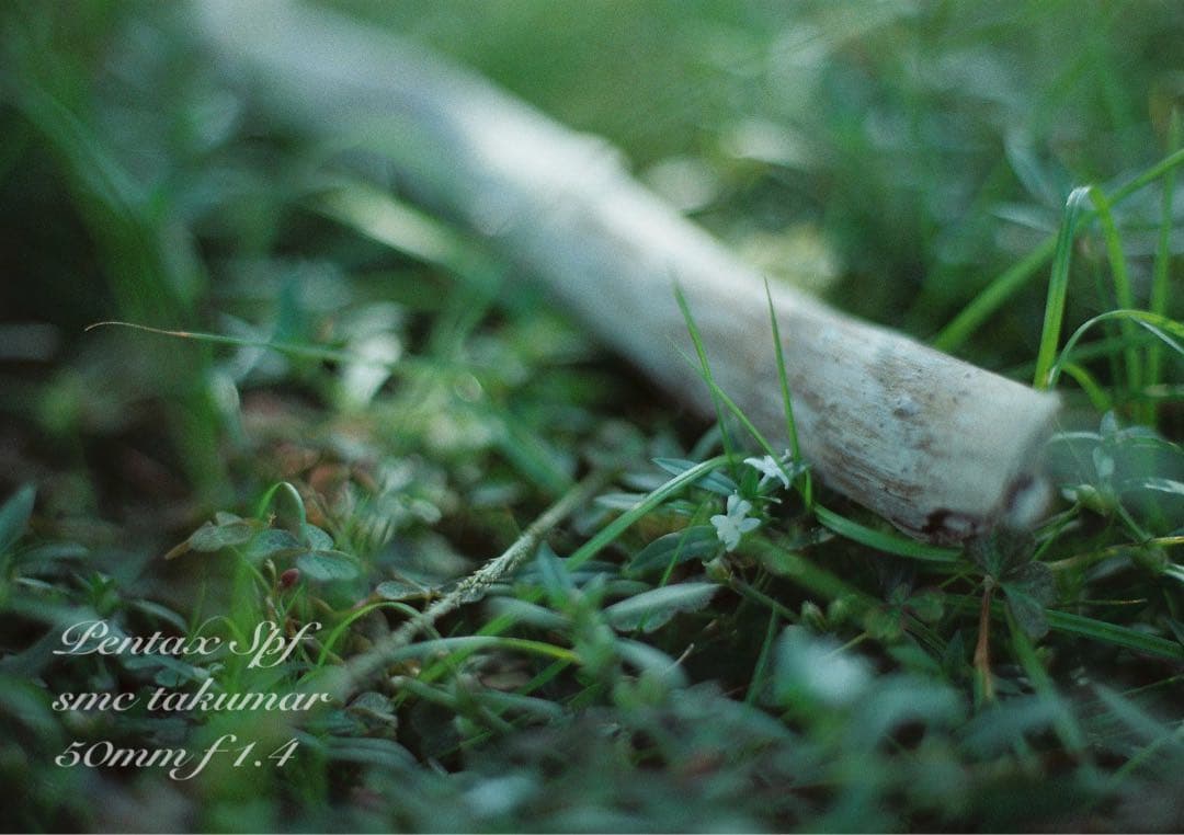 超美品＊完動品★PENTAX SPF BLACK★f1.4★初期保証＊作例多数！