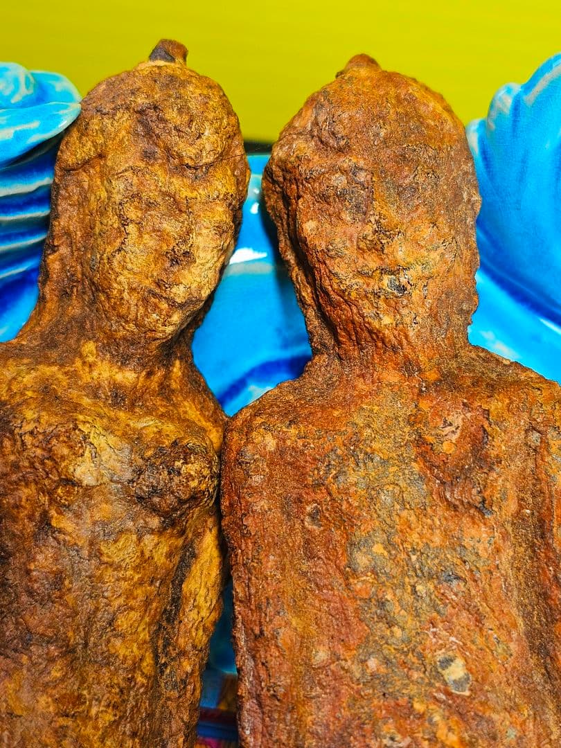 毛が生えた‼️特級呪物‼️希少‼️超特大サイズ‼️ナリーポンとマカリーポン