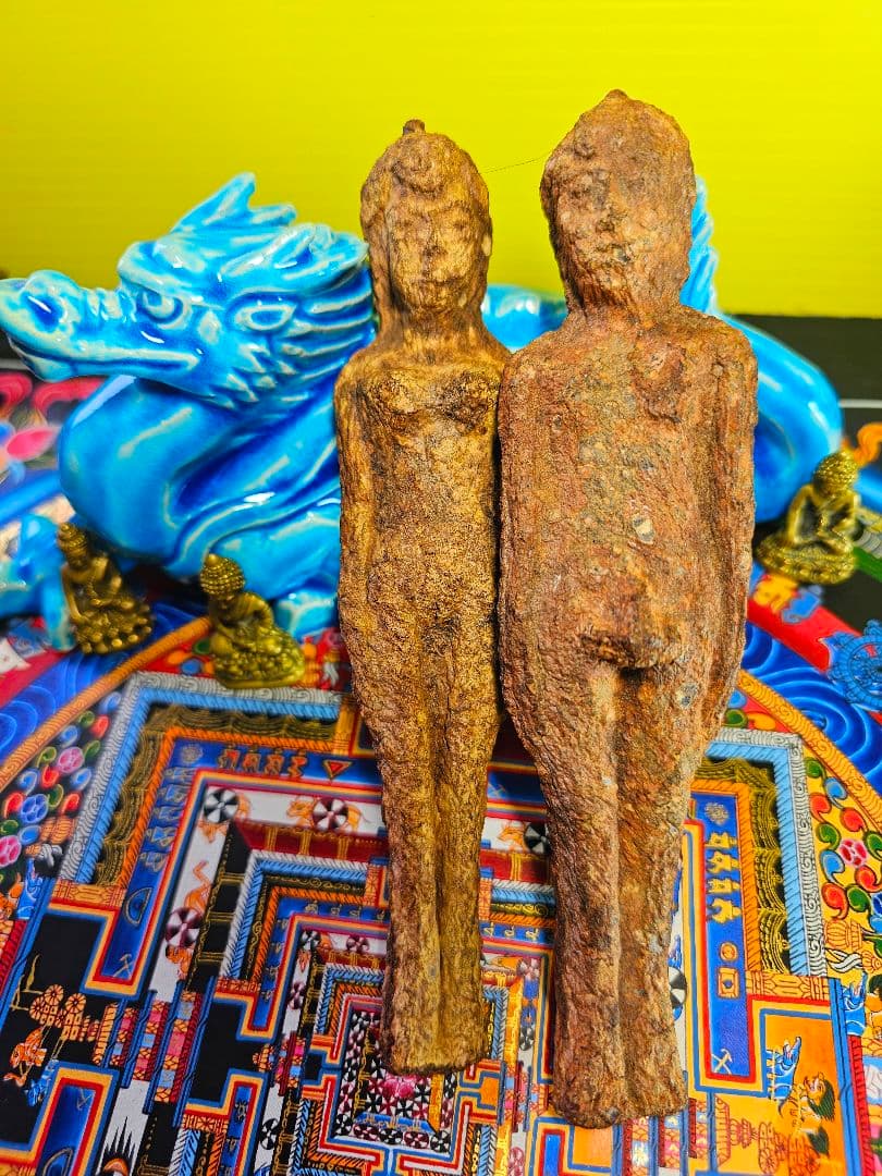 毛が生えた‼️特級呪物‼️希少‼️超特大サイズ‼️ナリーポンとマカリーポン