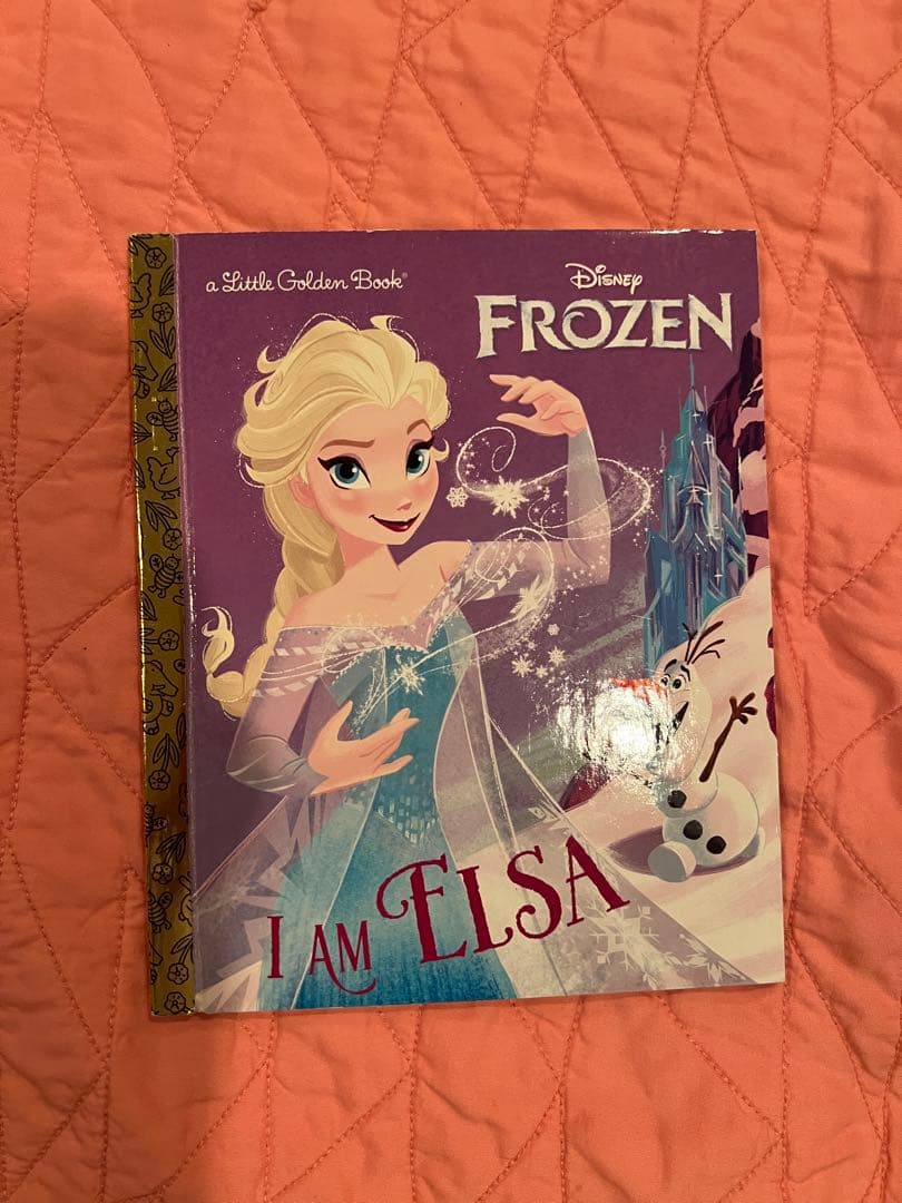 英語絵本・児童書 33冊セット 美品多数 ハードカバー中心