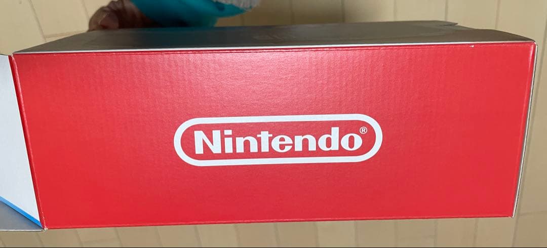 Nintendo Switch Lite ポケモン　ザシアン・ザマゼンタ