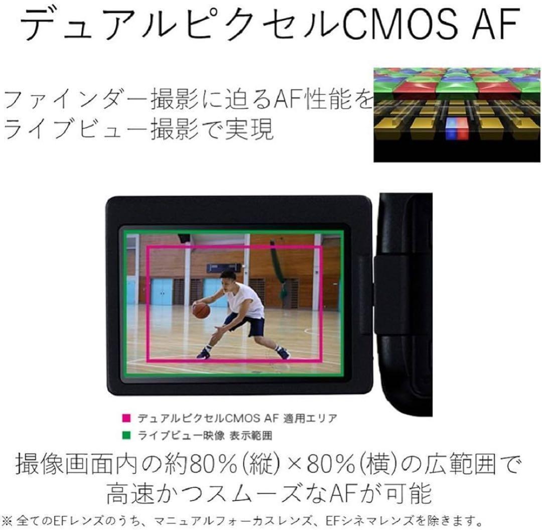 【美品】CANON EOS 6D Mark II