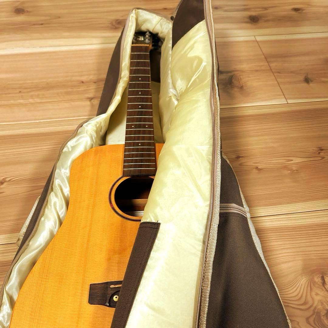 ギター cort Earth MINI