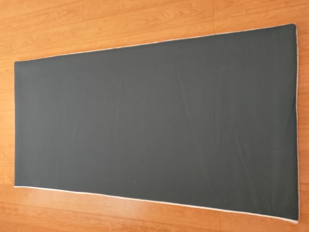 ファイテン エアロクレイドルⅡ