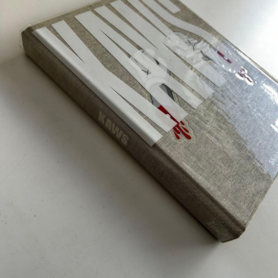 美品 KAWS アートブック Skira Rizzoli Book カウズ