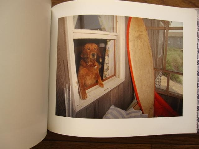 BABE　Michael Northrup　マイケル・ノースラップ