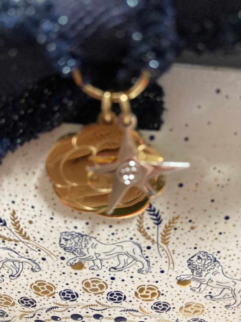 CHANEL シャネル　2025 クリスマスコフレ　リップ　ネイルケア　ポーチ