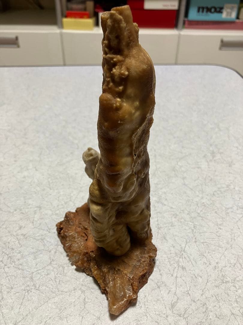 秋芳洞　鍾乳石