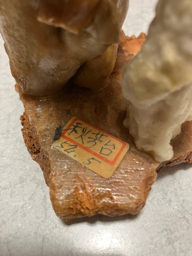 秋芳洞　鍾乳石