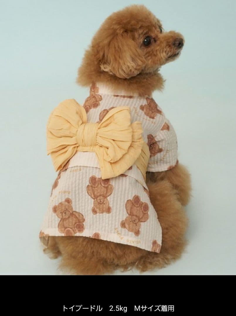 ジェラピケ 浴衣 苺 くま CAT&DOG リメイク済 ２着セット 犬 猫 撮影