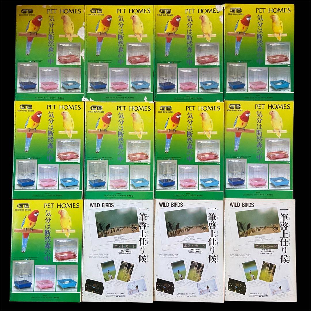 希少 愛鳥家専門誌 ALL BARD オールバード 1987年 創刊号〜 88冊