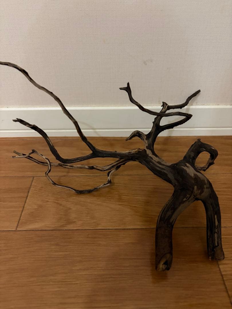 エーハイム2213、アクロトライアングル、CO2ジェネレーターなど水草水槽セット