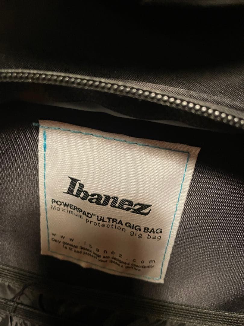 godin セミアコ　ゴダン　ギター　アコギ　dimarzio