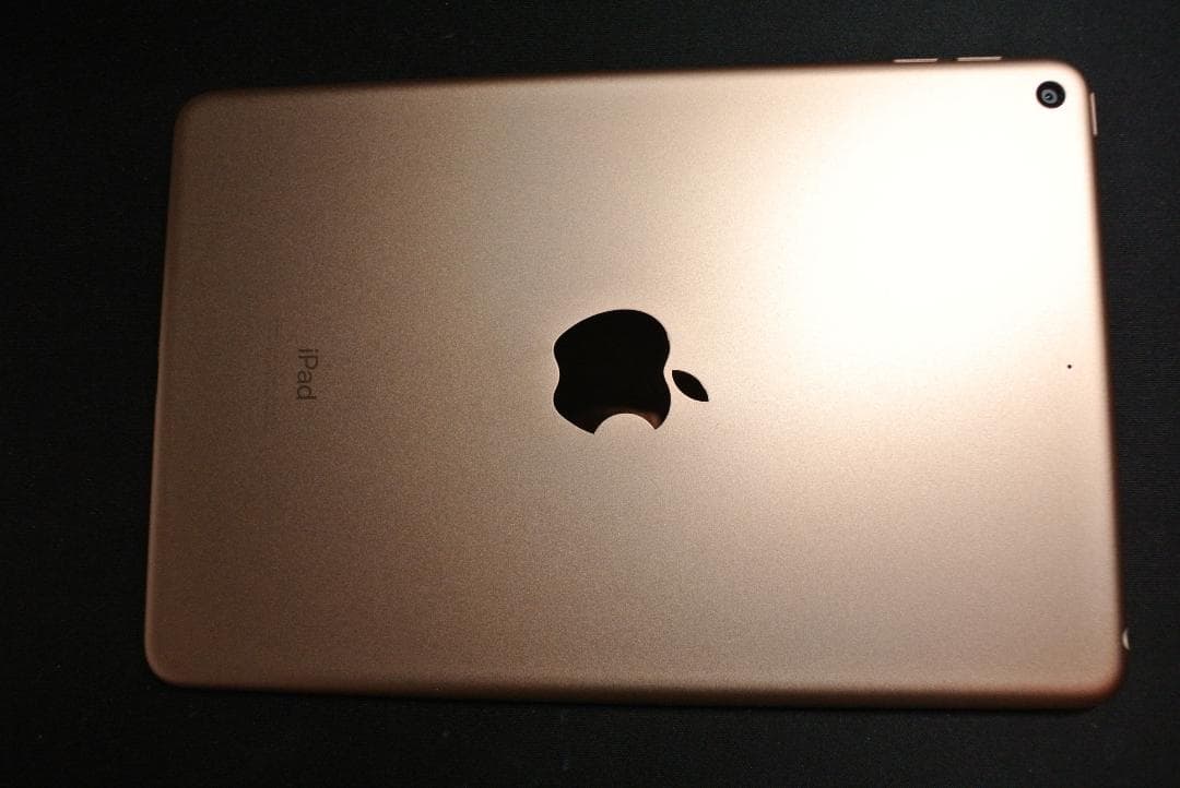 iPad mini 第5世代 Wi-Fi 64GB GOLD 超美品 動作品