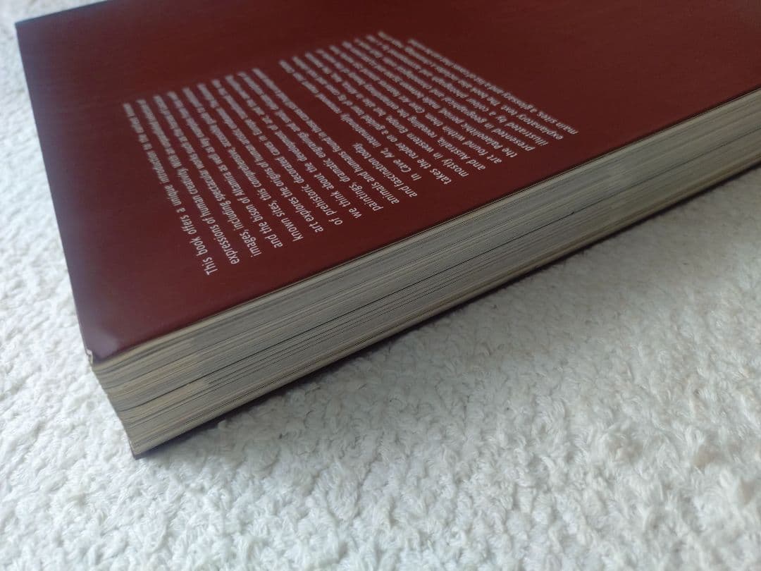 レア! 洞窟芸術 Cave Art ジャン・クロッテ Jean Clottes