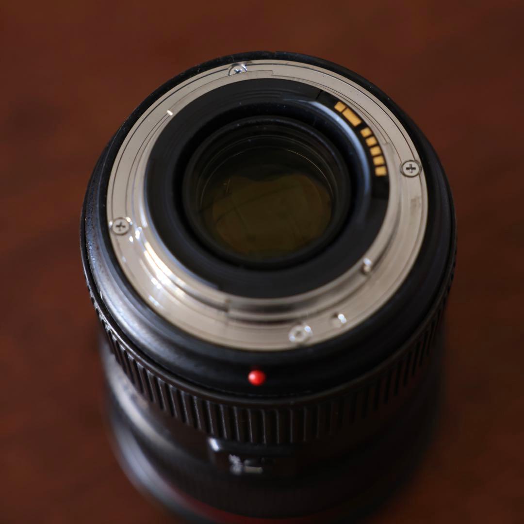 Canon EF 24-70mm F2.8 L II USM 大三元