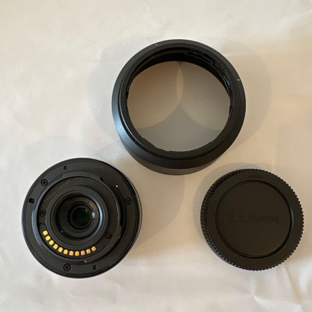 パナソニック LUMIX DC-GF90W-K ブラック ダブルレンズキット