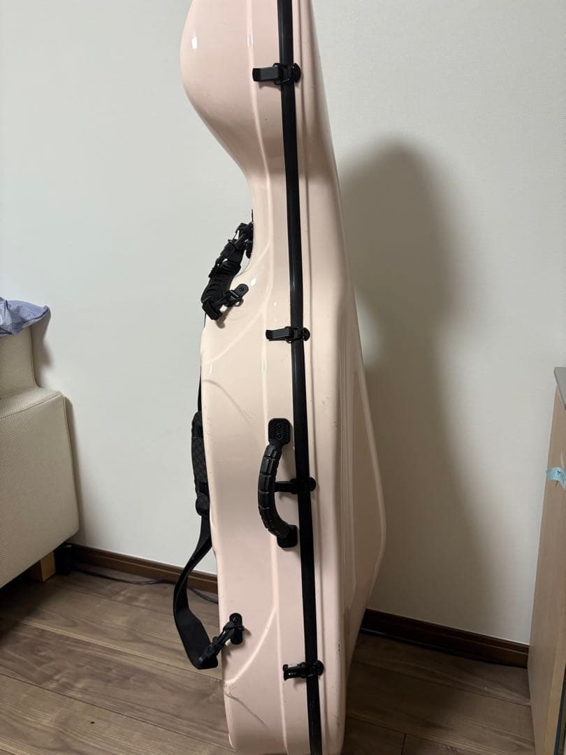 Gliga gems チェロ　4/4 2012年製 、ケース・弓・ブラックホール