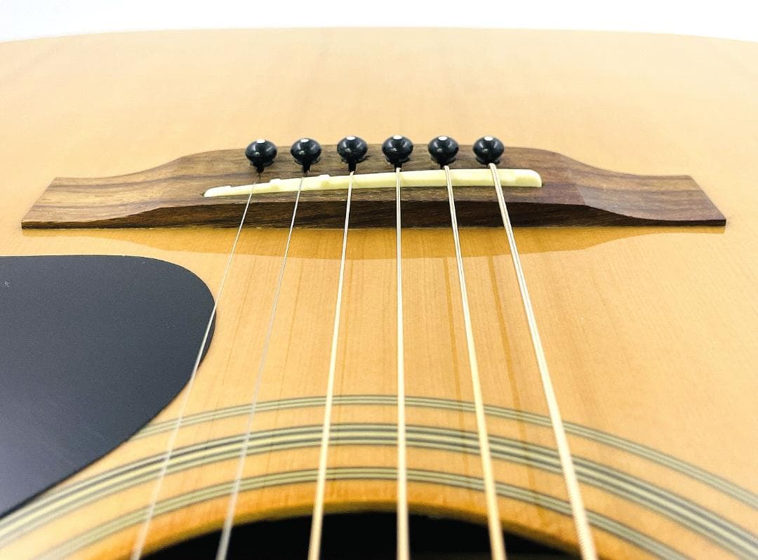 Epiphone DR-100 NA 初心者〜中級者向け良音コスパモデル【整備品