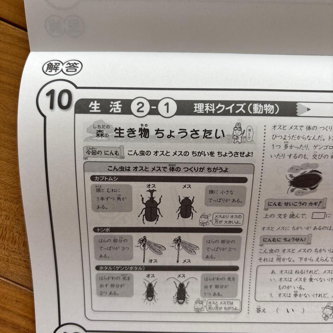 七田式小学生プリント　生活 2年生 全10巻 修了テスト付　状態良