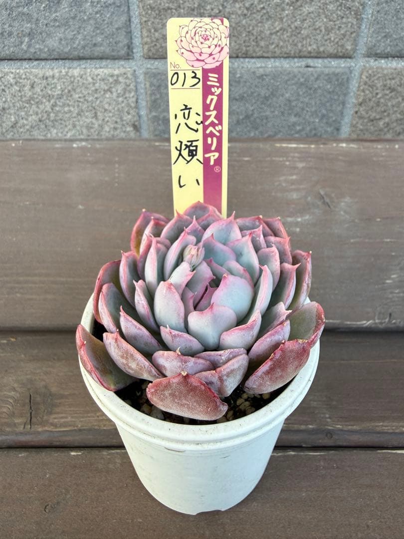 すばる