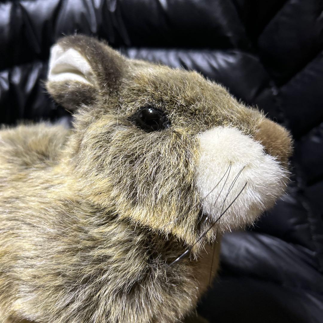 KOSEN ケーセン　ぬいぐるみ　うさぎ　ベージュ　座り　タグ付き❣️