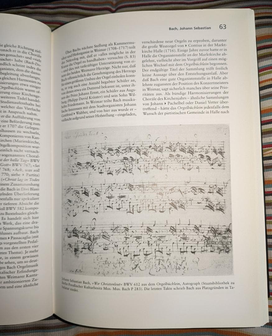 【高額希少本】オルガン事典～★パイプオルガン 大型ドイツ語洋書