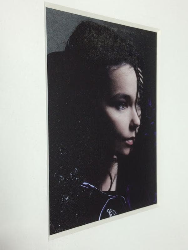 額装品/Bjork/ビョーク/Warren Du Preez2004/インテリア