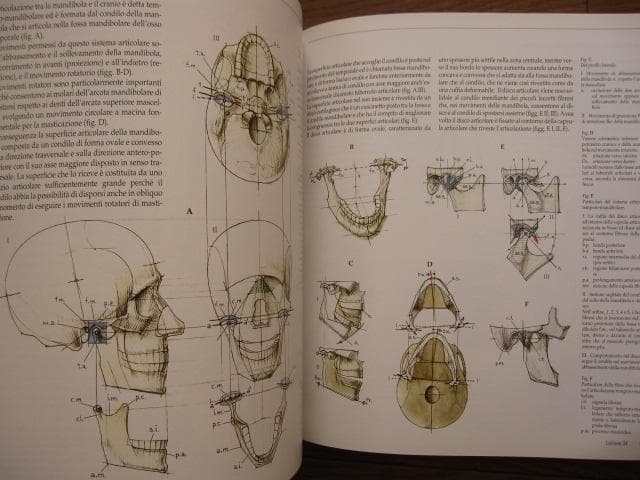 アート・デザイン・音楽 Struttura uomo in movimento