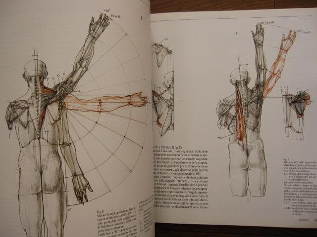 アート・デザイン・音楽 Struttura uomo in movimento